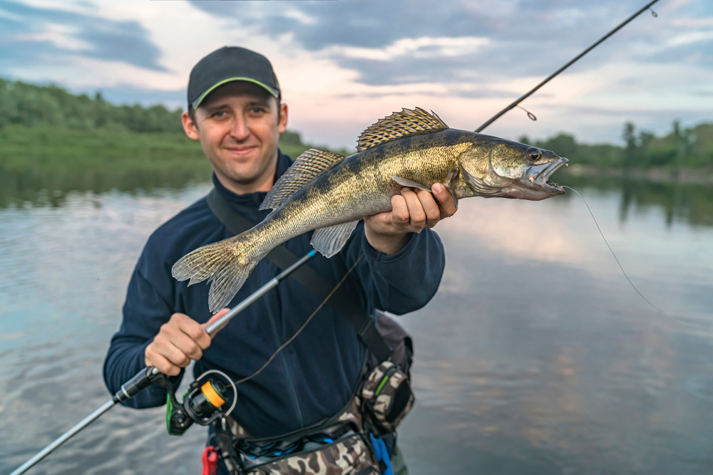 Secrets to Trolling Walleye