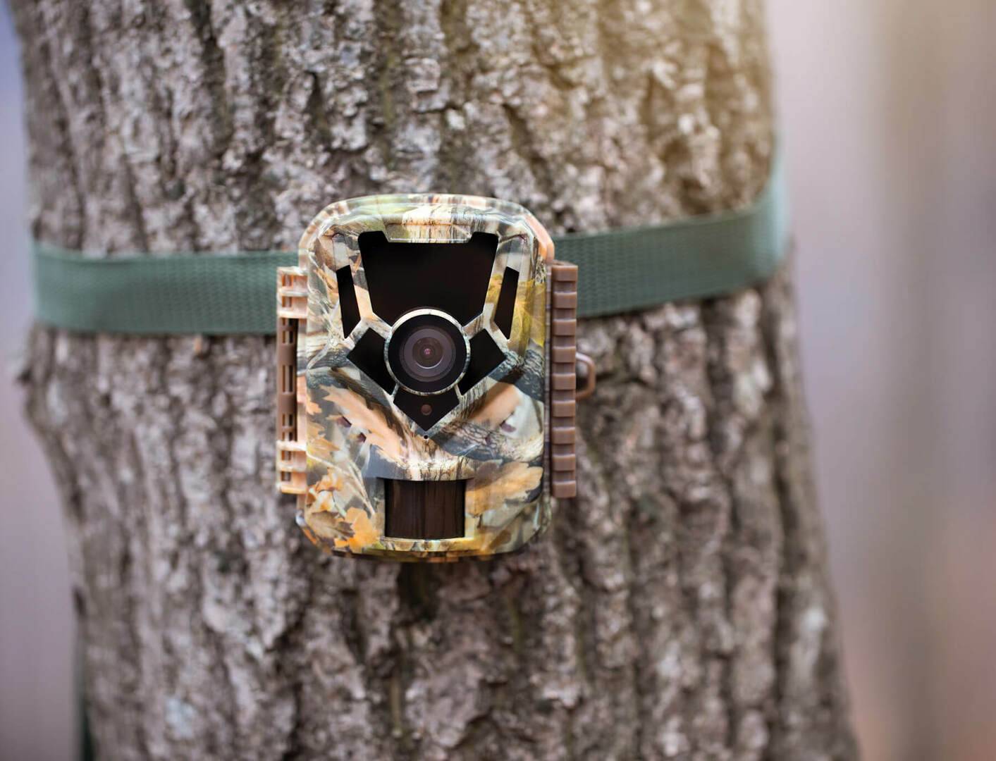 Is Trail Camera Technology Ethical
