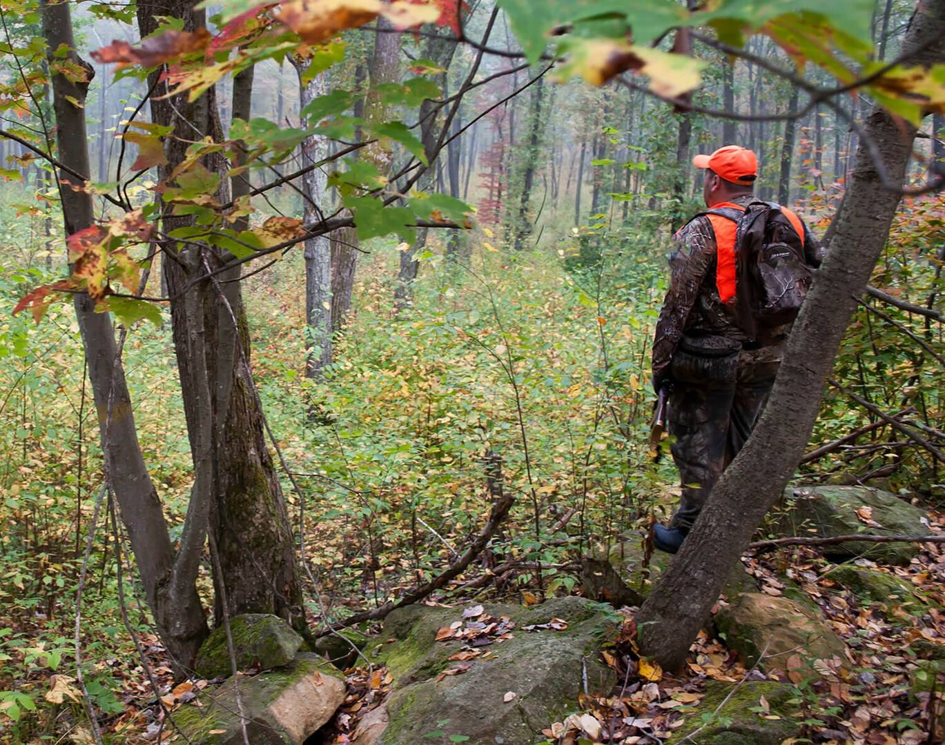 Hunt without Smelling Like Work