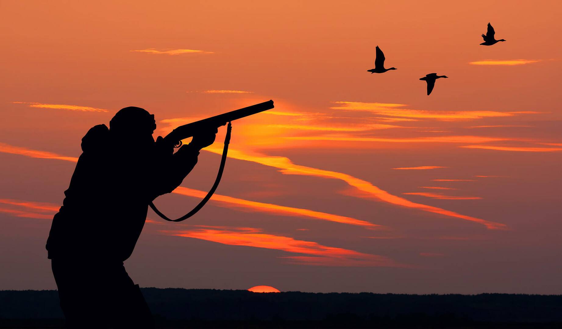 The Basics of Waterfowl Spreads