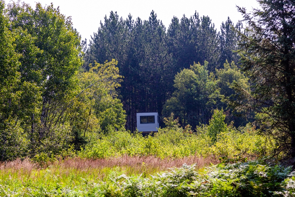 Buying Whitetail Hunting Land