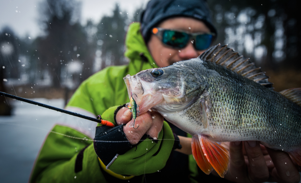 Late Season Ice Fishing Tips