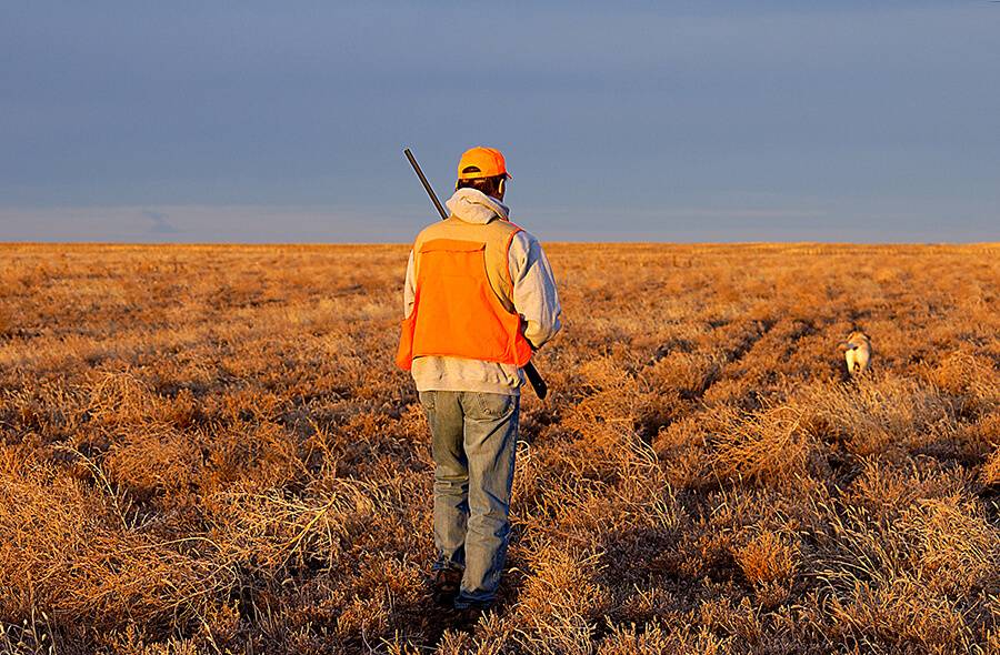 A Practical Plan to Purchasing Iowa Recreational Ground