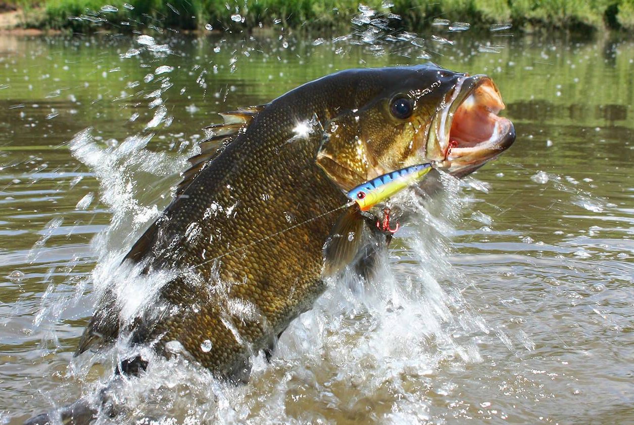 Locating Hot Weather Smallies In Iowa
