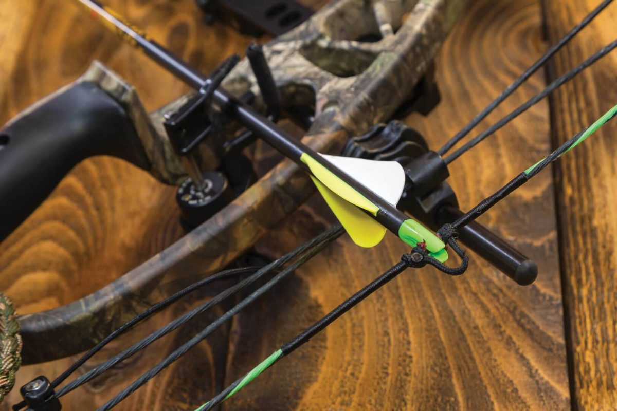 The Value of Local Archery Shops
