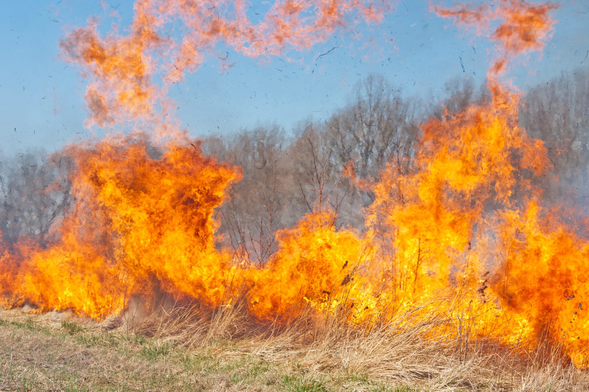 Why use Prescribed Burning