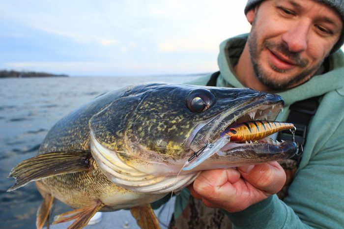 Spring Walleye in Iowa