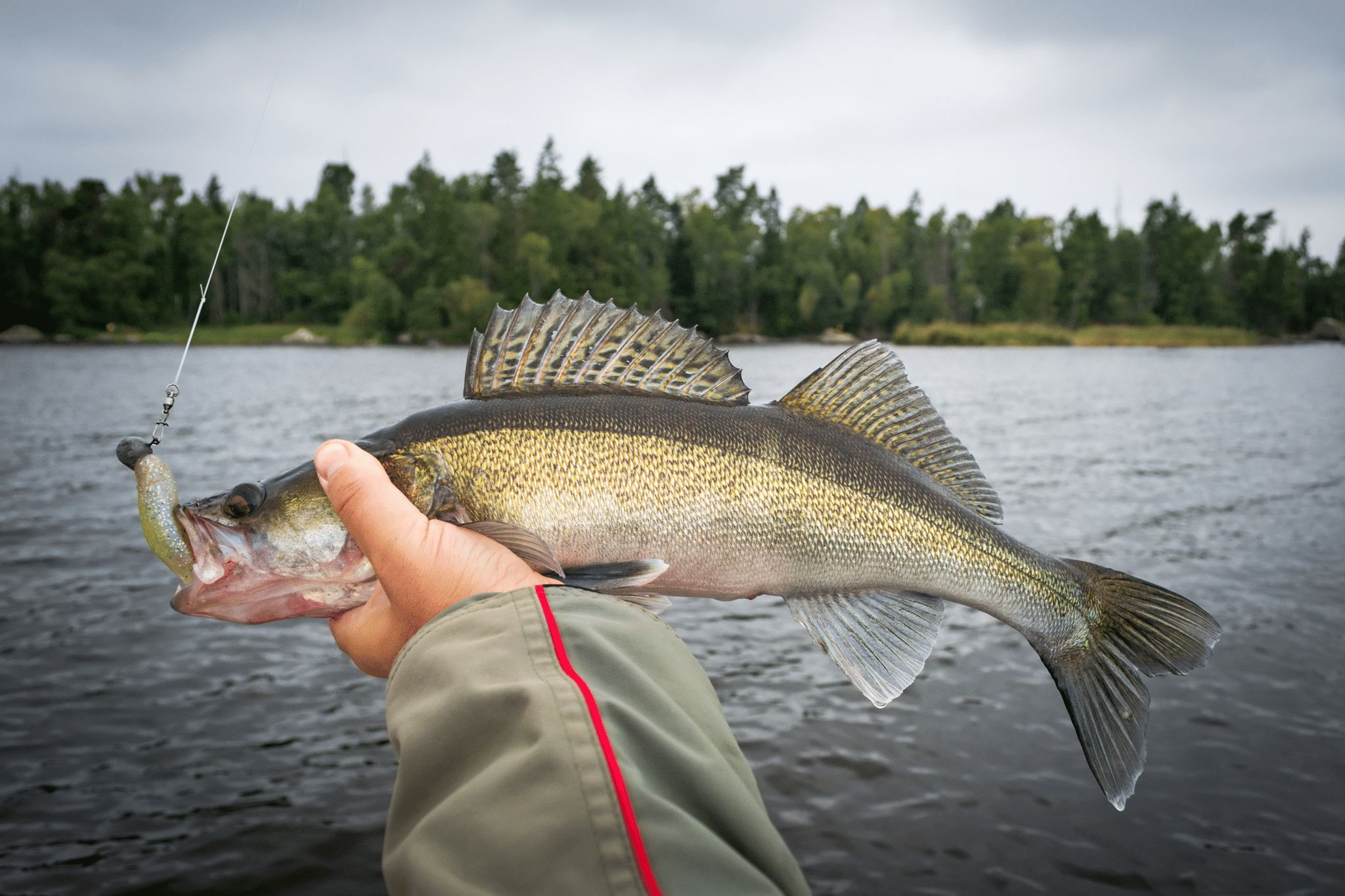 Open Water Fishing in March