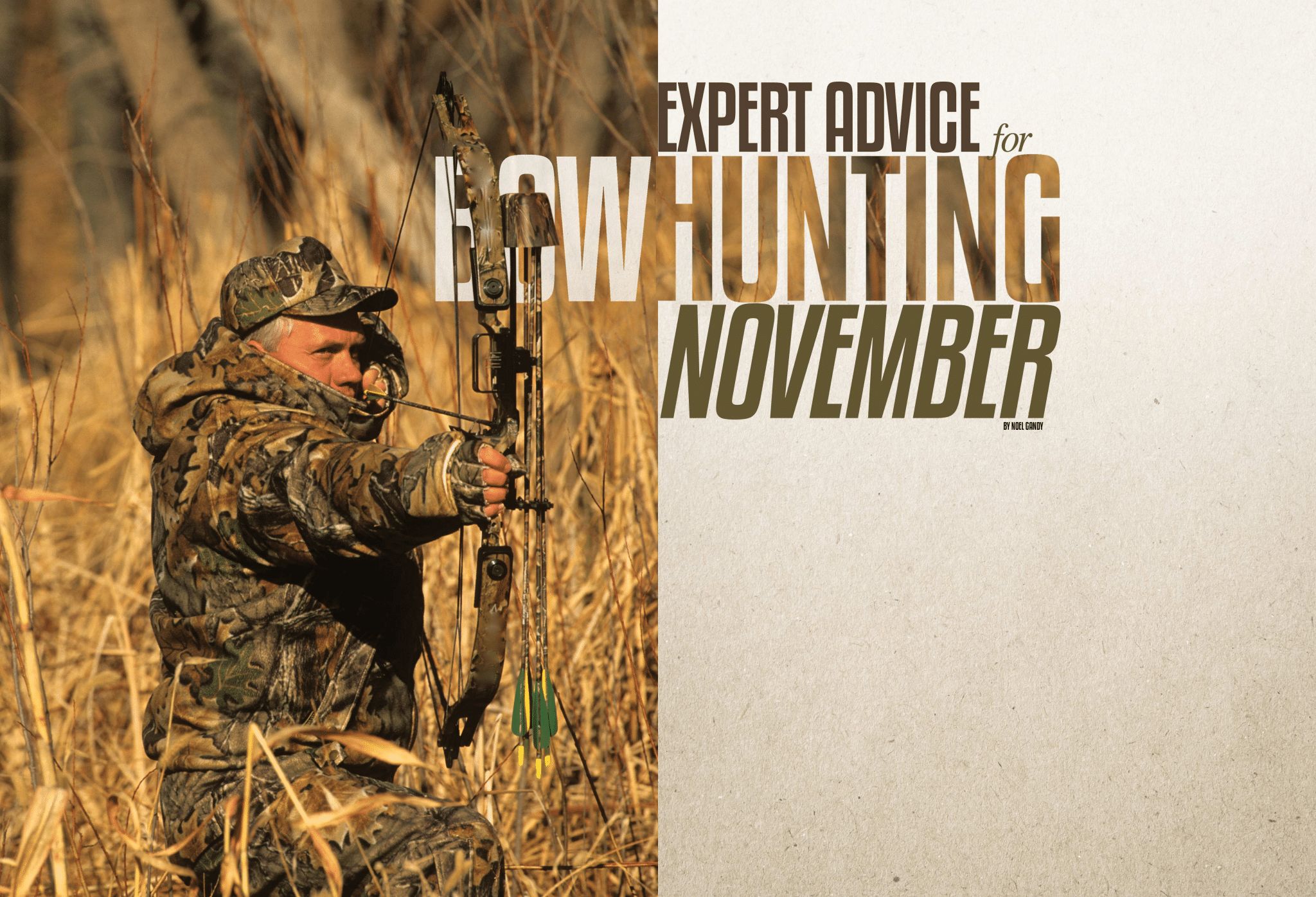 Expert Advice for Bowhunting November