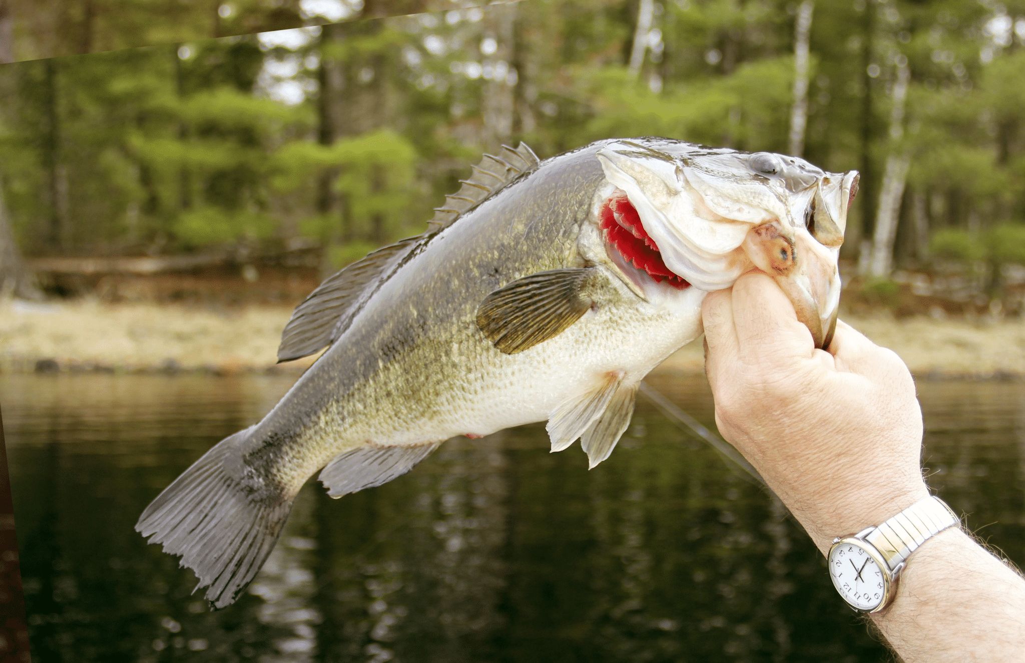 Best Iowa Destinations for Trophy Fish
