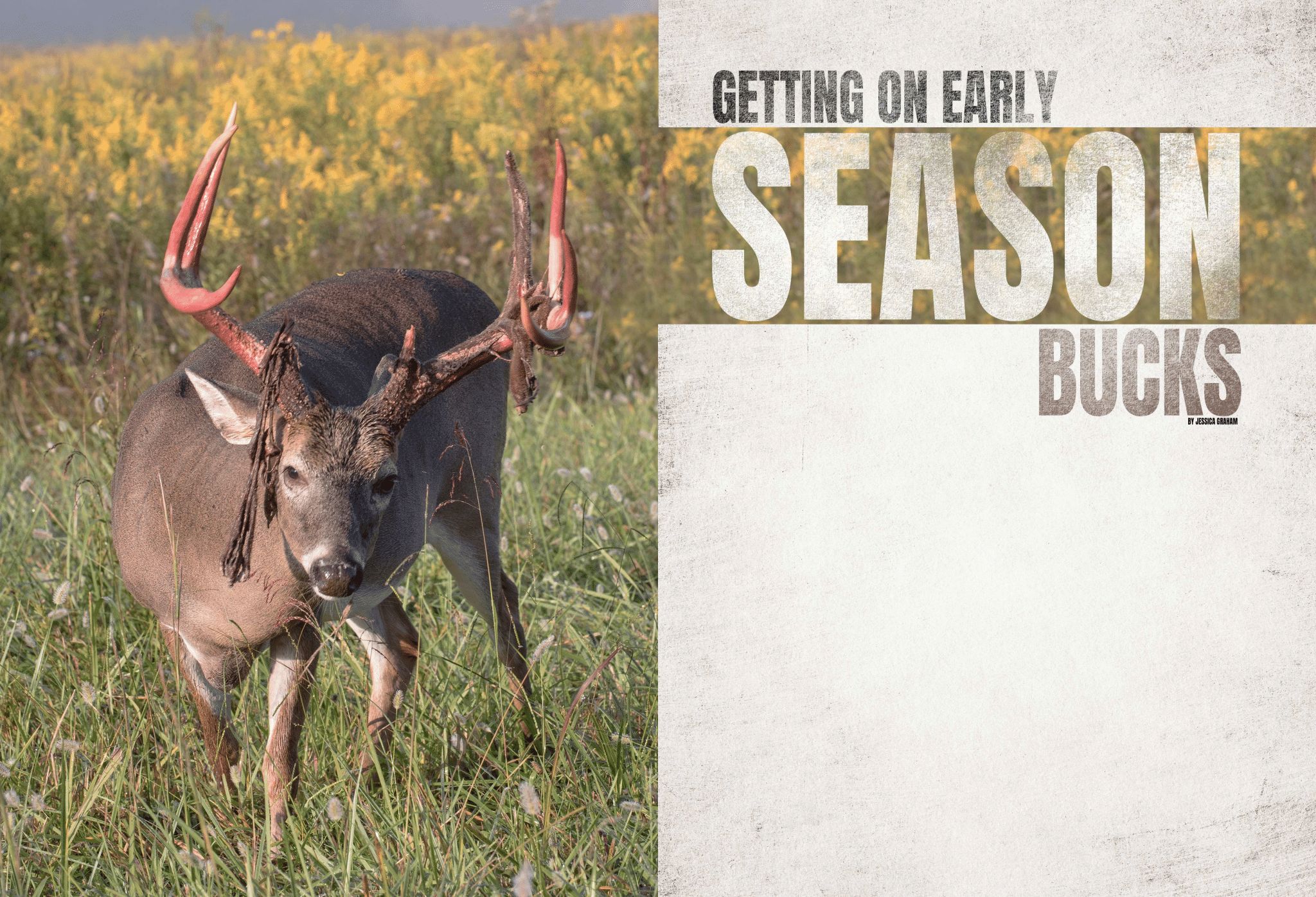 Getting on Early Season Bucks