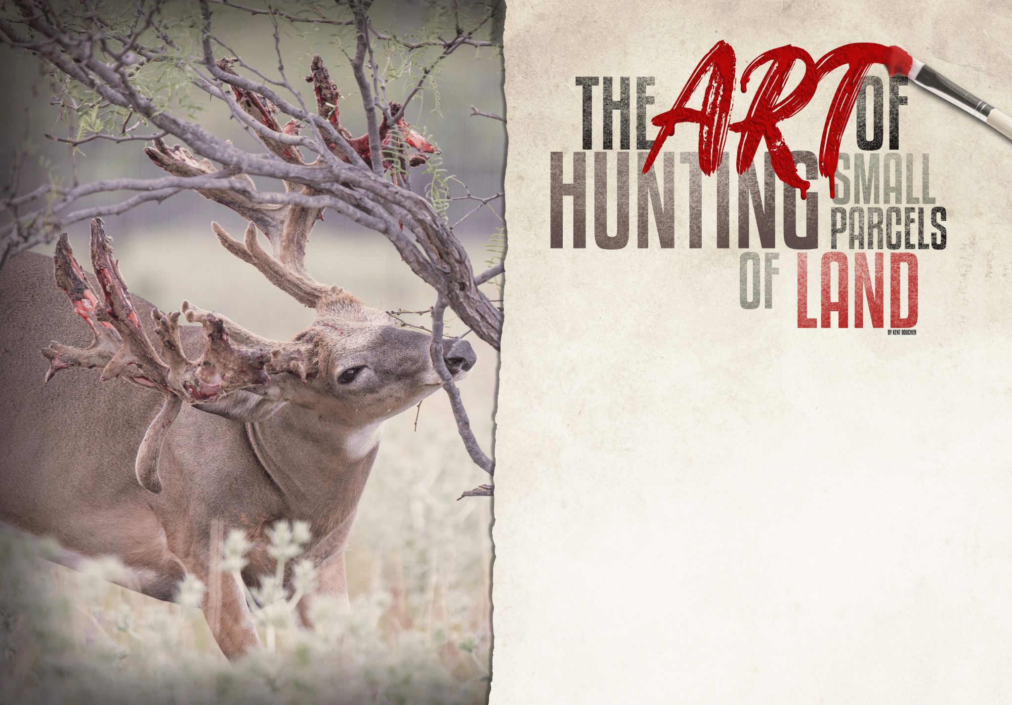 The art of hunting small parcels of land