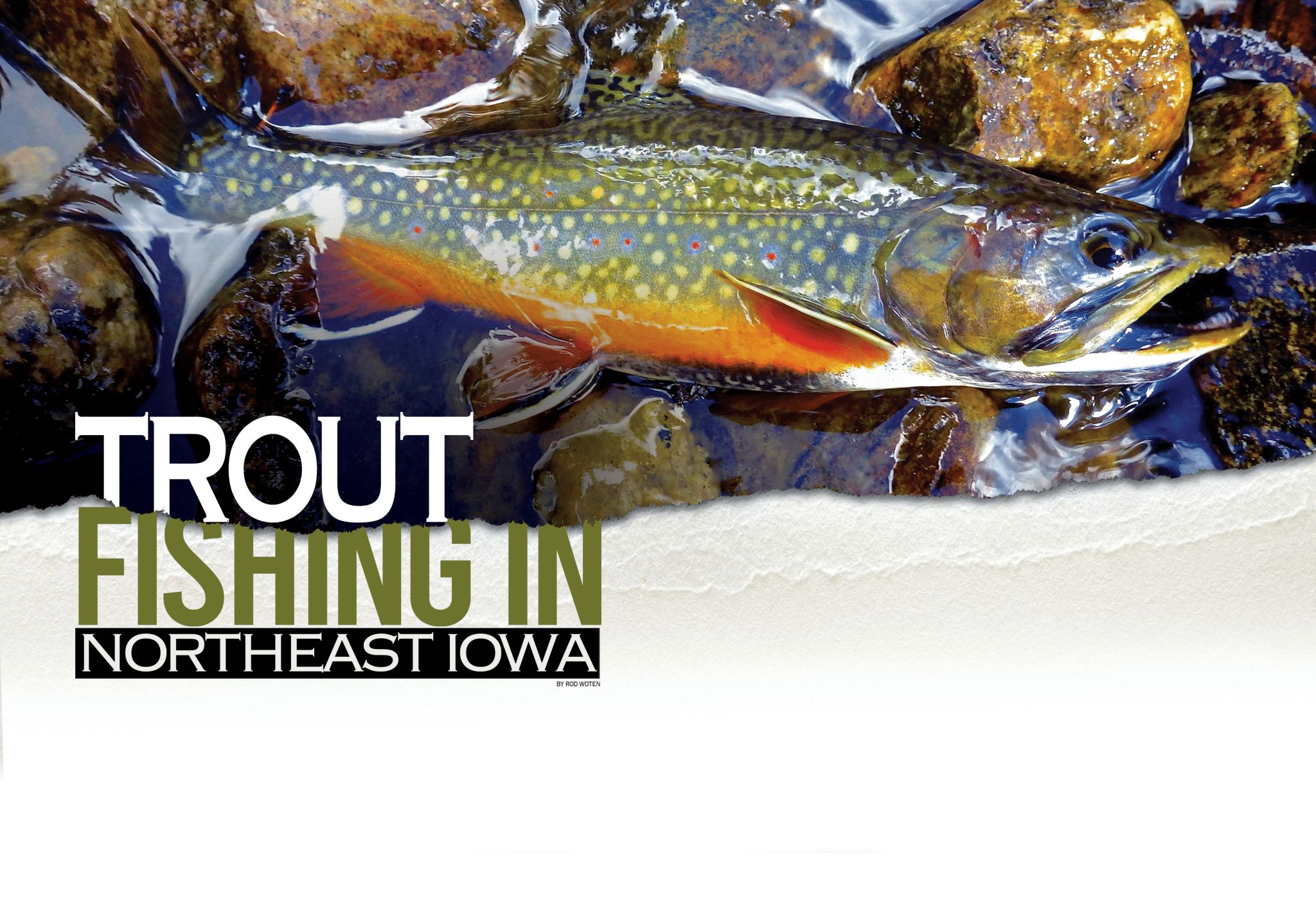 Trout Fishing in Northeast Iowa