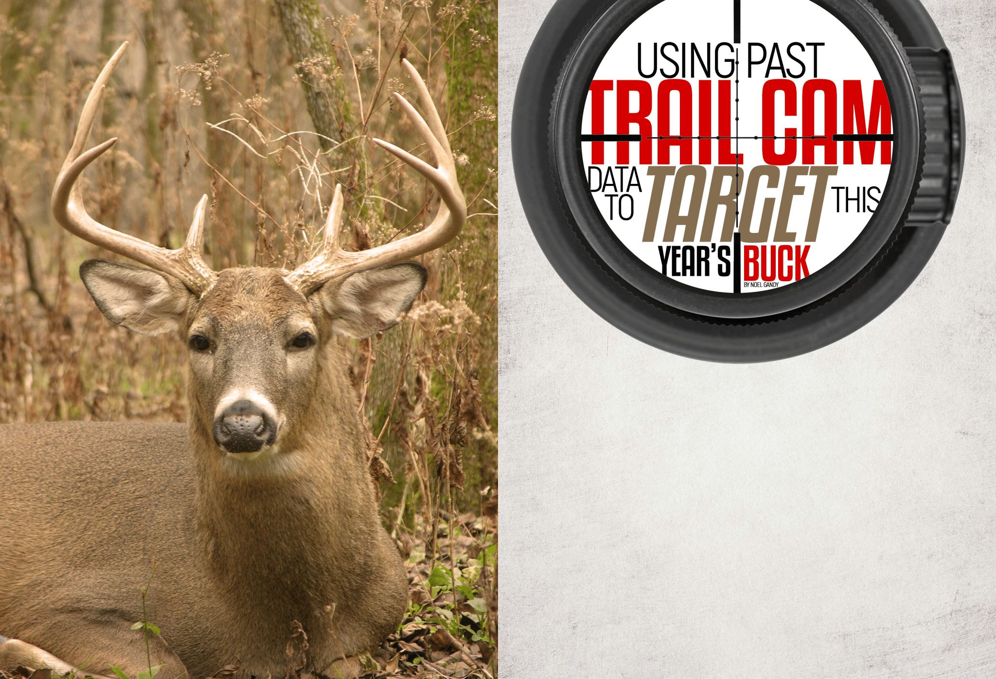 Using Trail Cameras to Target Whitetail