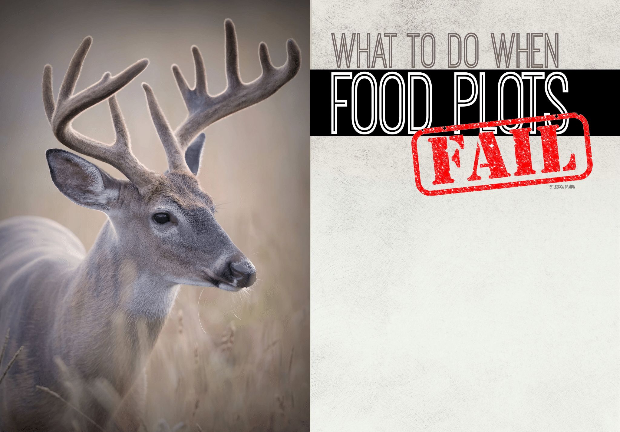 What to do when food plots fail