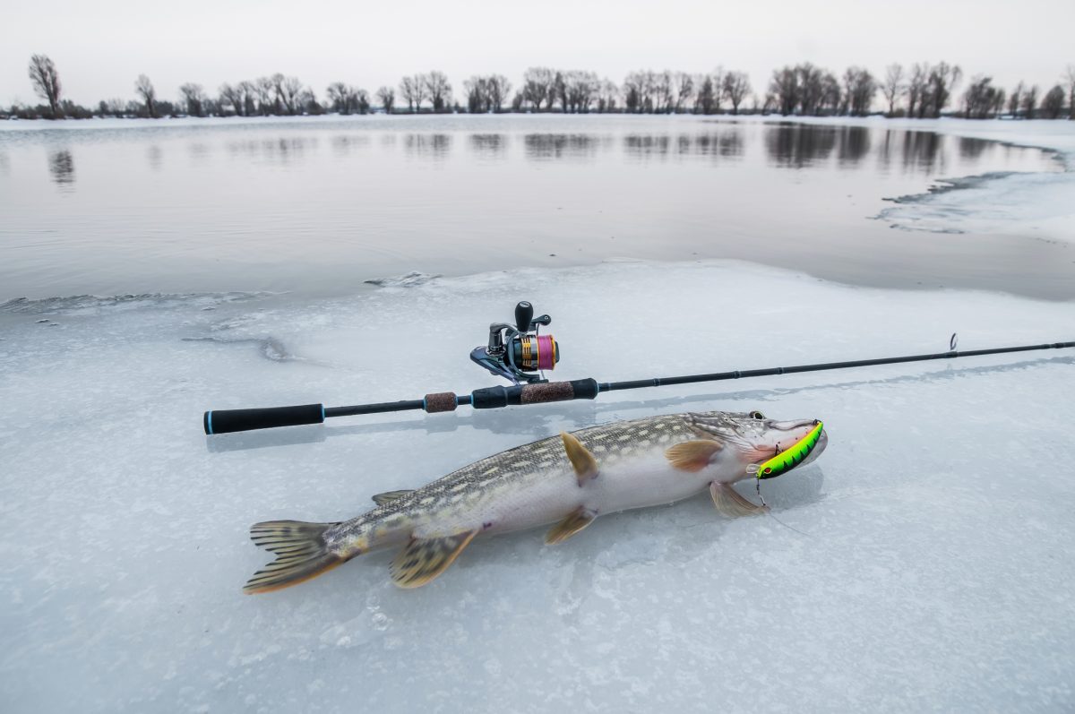 January ice tactics