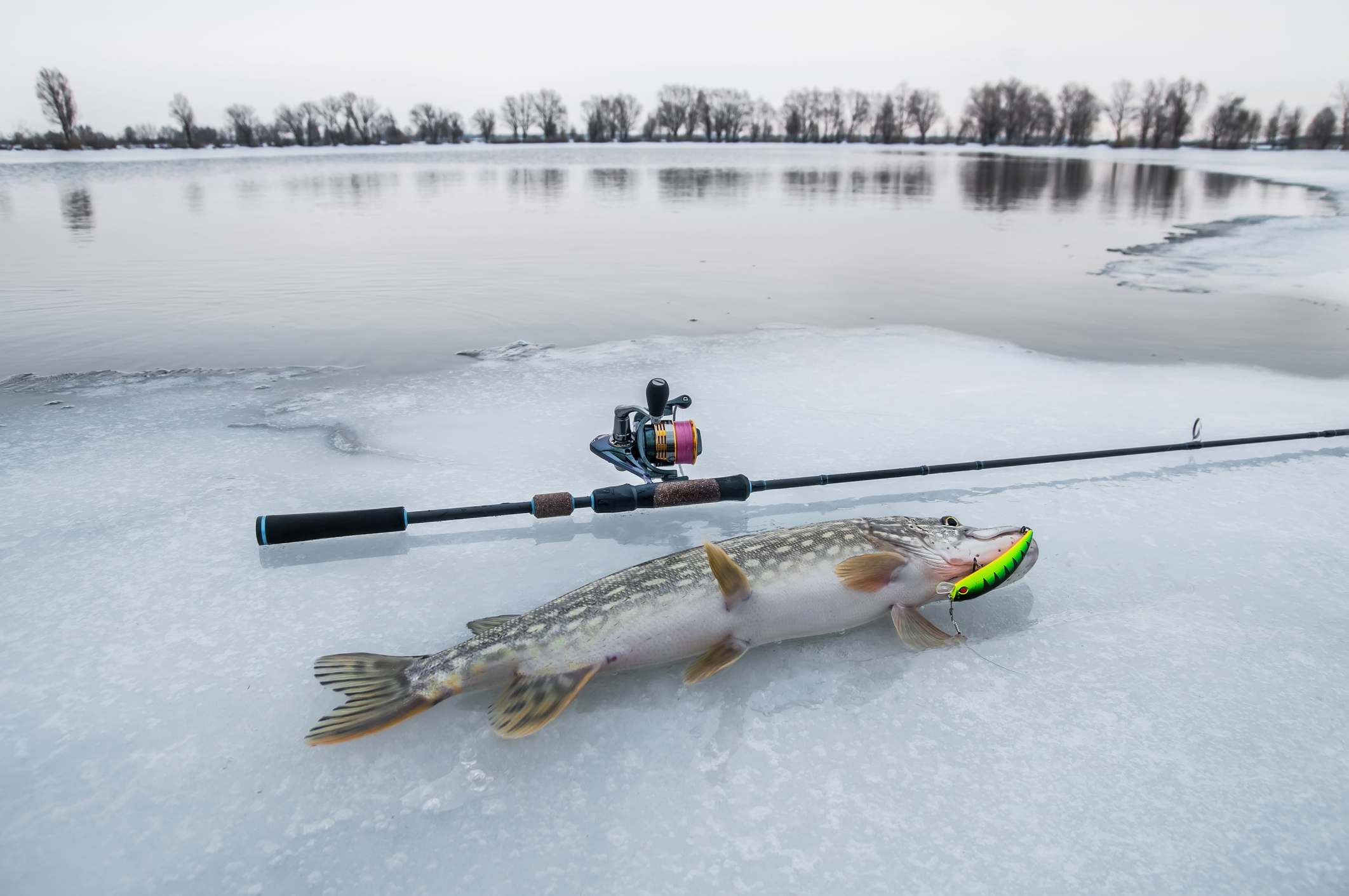 January ice tactics