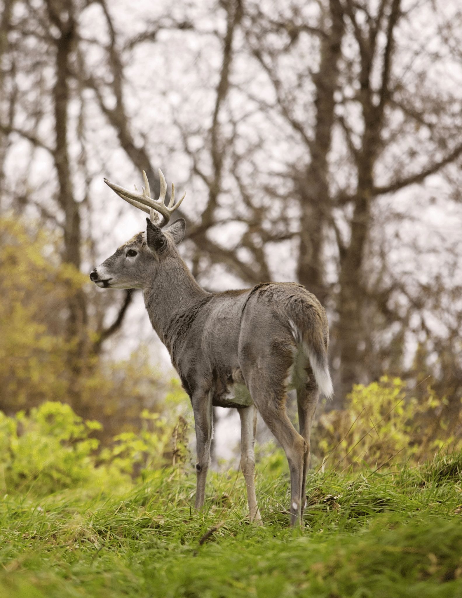 5 Tips for Season Opener