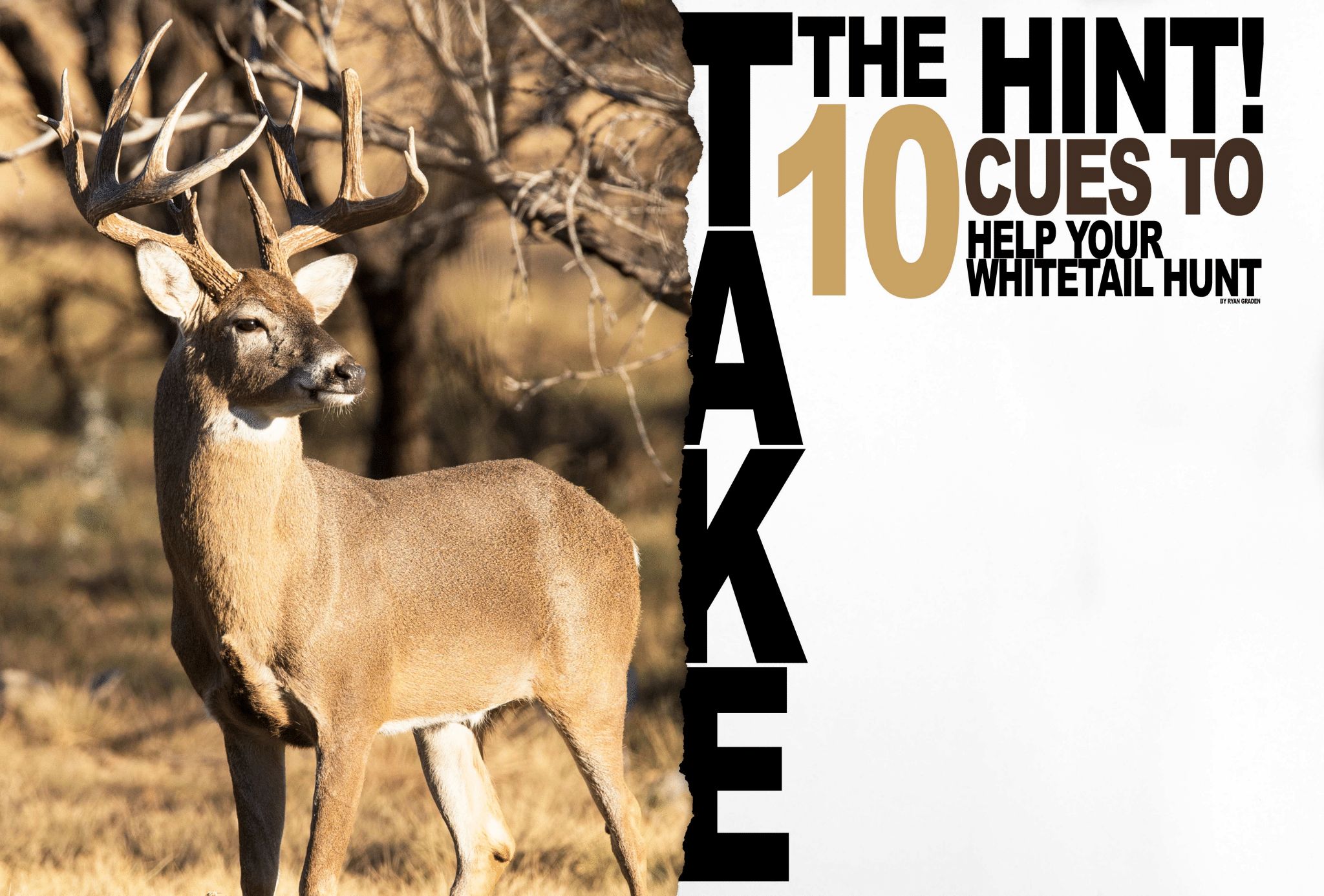 Deer Cues to Look For
