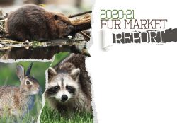 2020-21 Fur Market Report