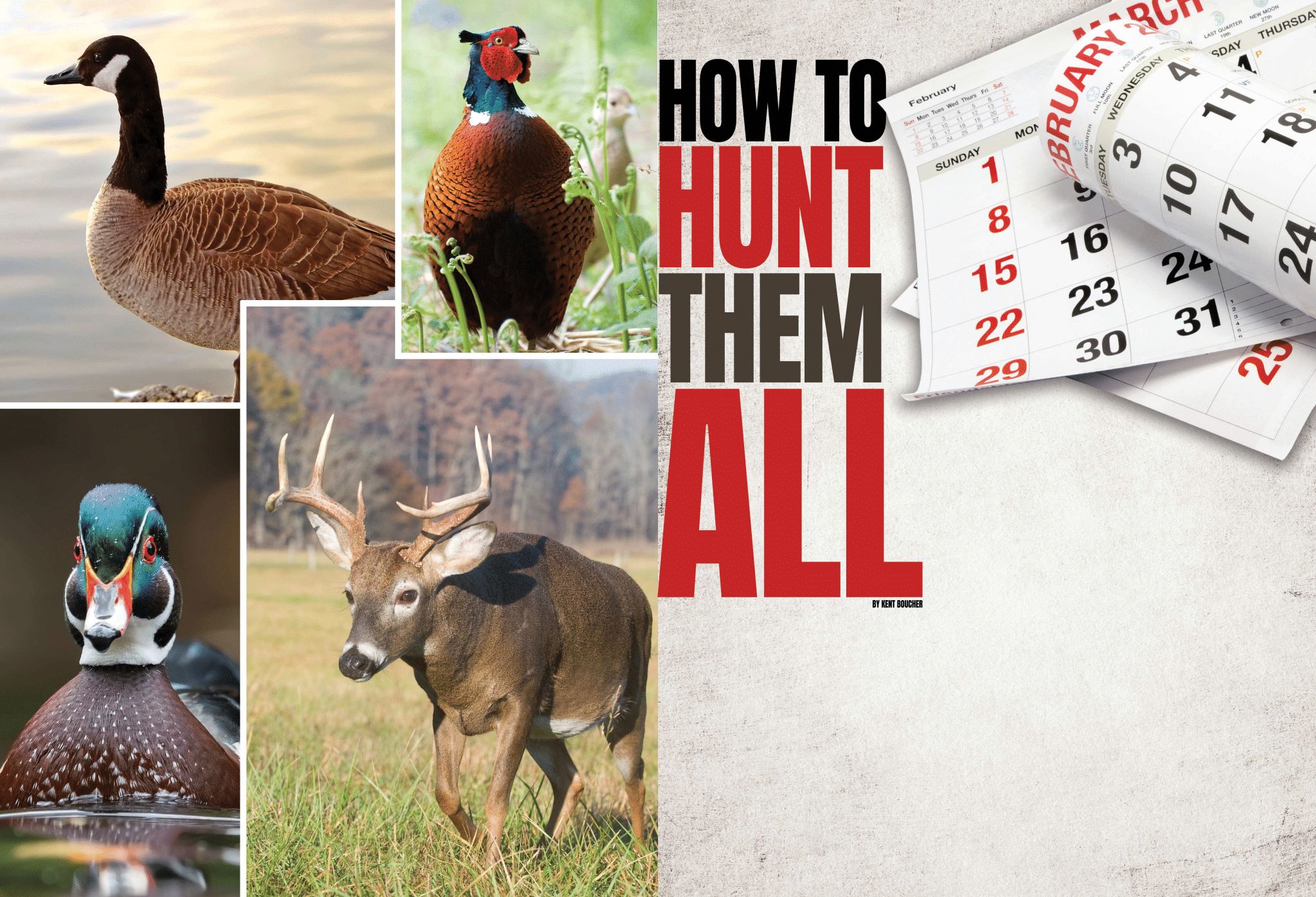 How to Hunt Iowa Wildlife