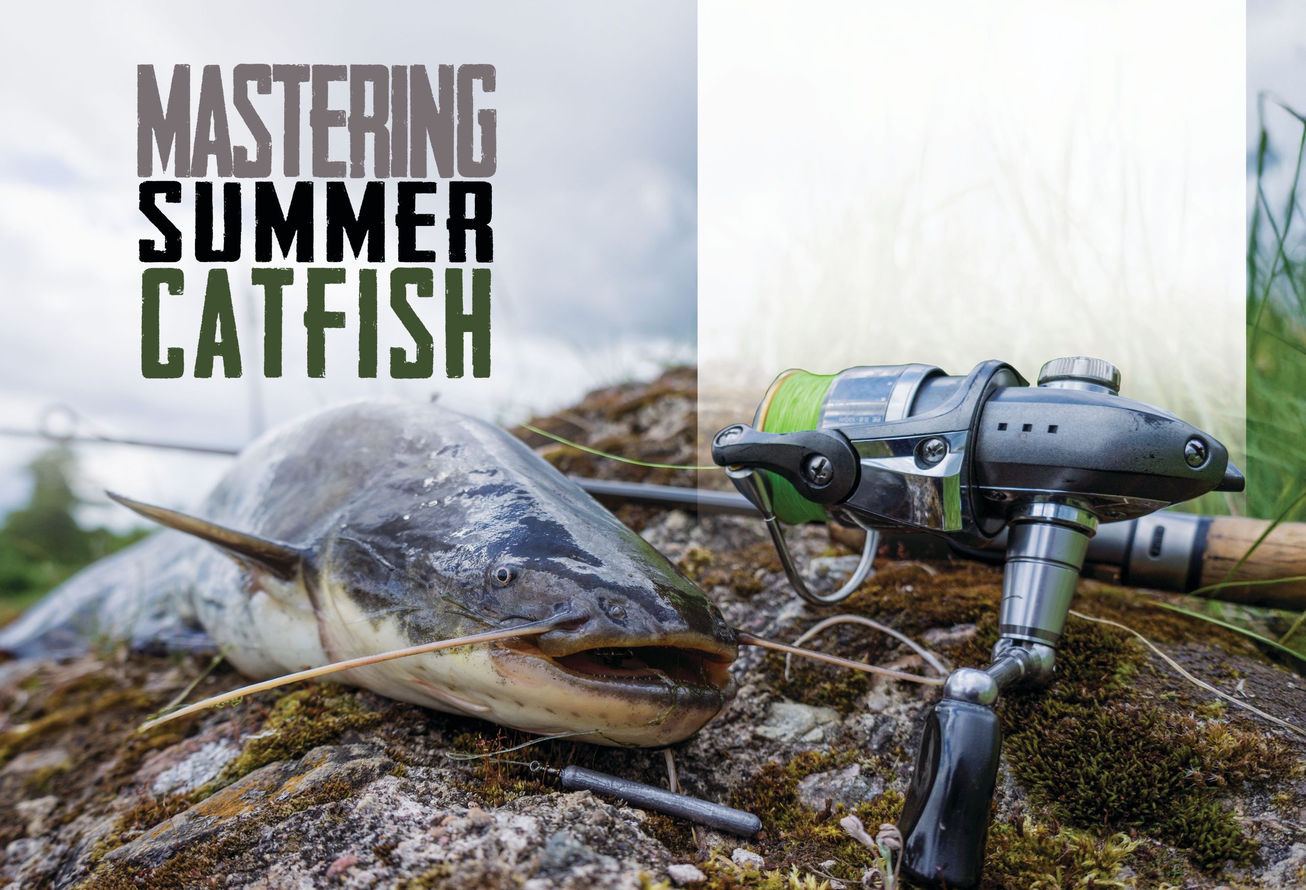 Mastering Summer Catfish