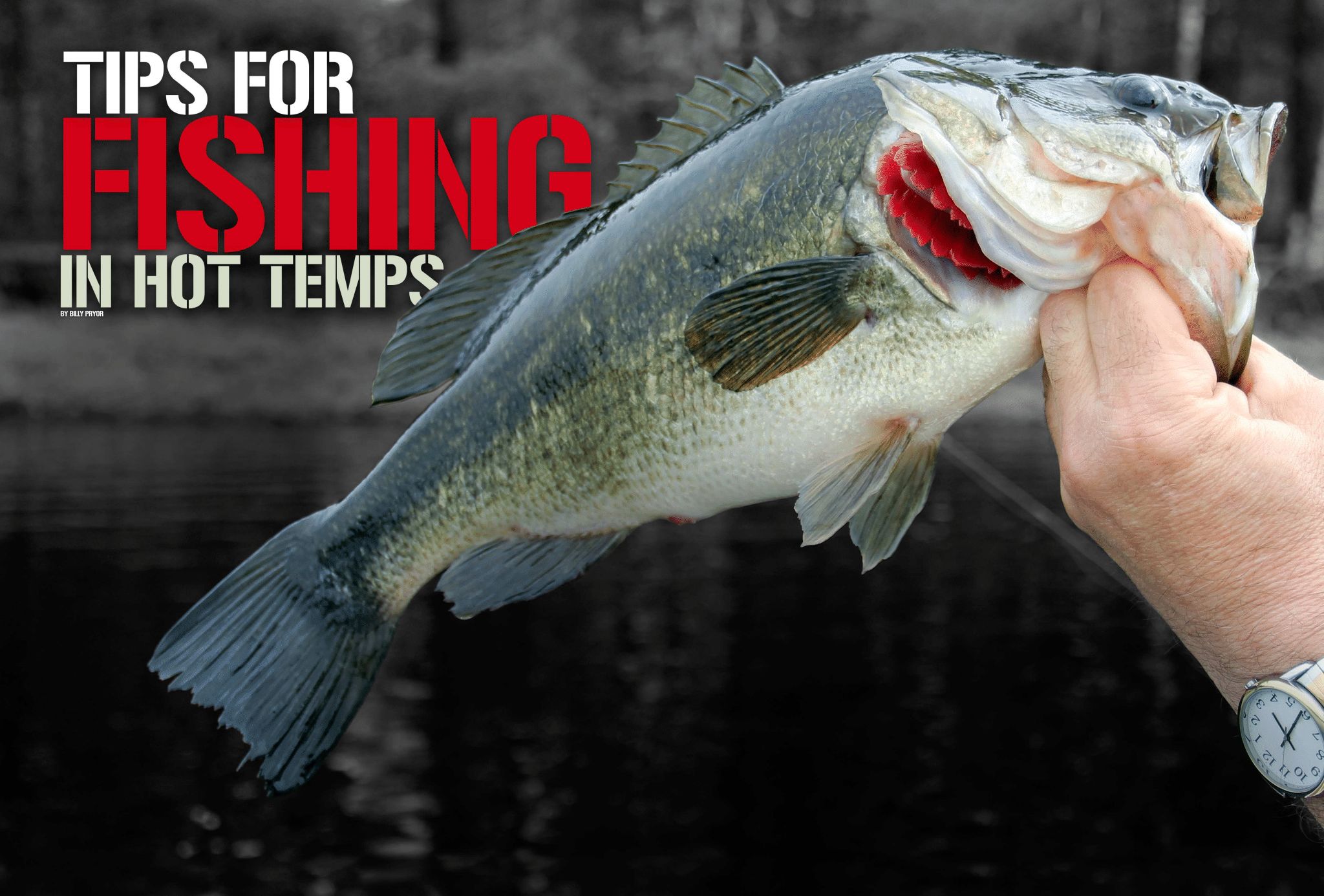 Tips for Fishing in Hot Temps