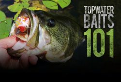 Topwater Baits 101