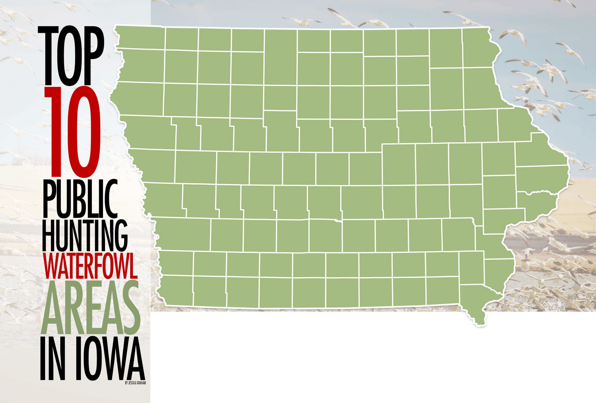Top 10 Public Waterfowl Hunting Areas