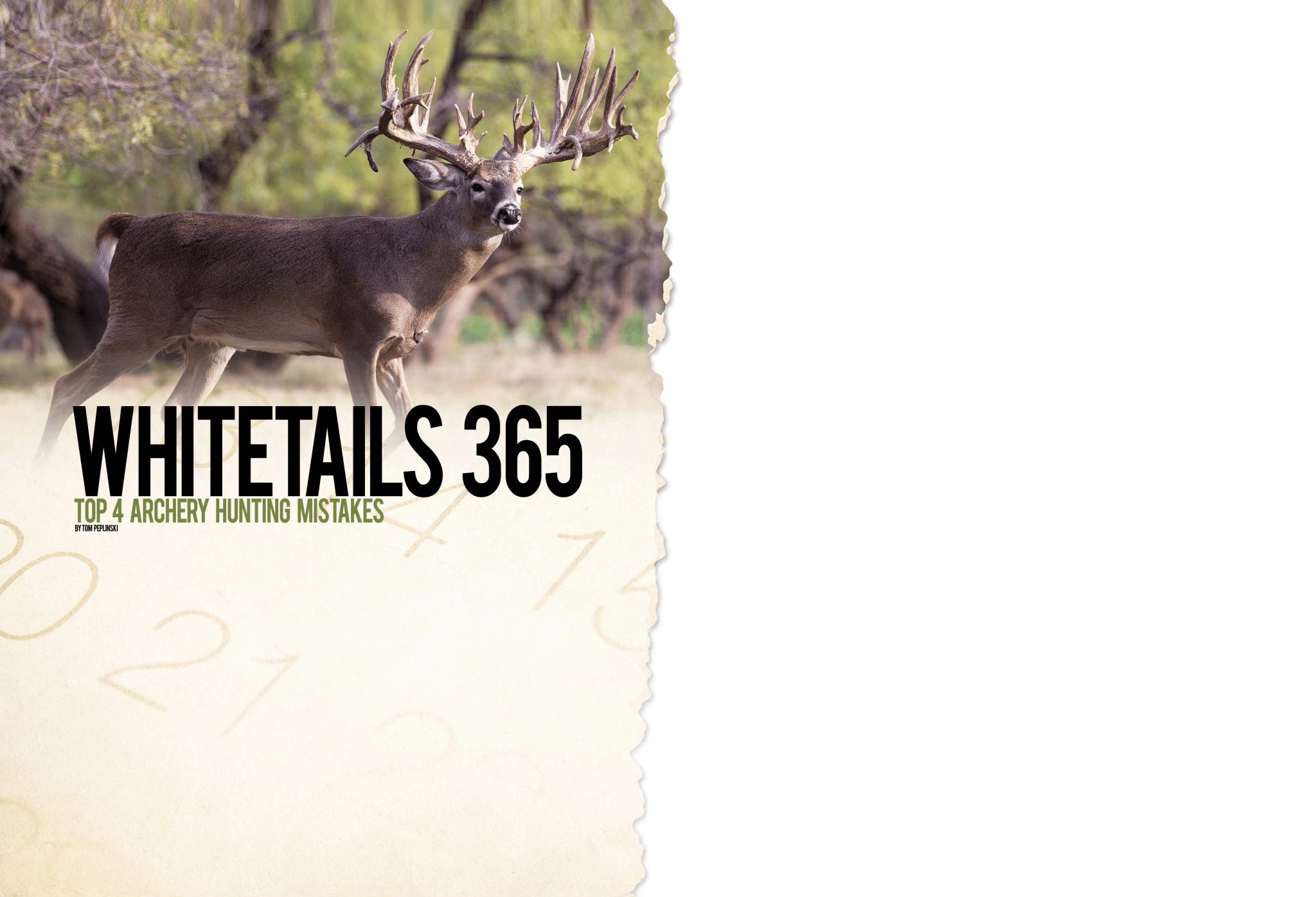 Top 4 Bowhunting Mistakes