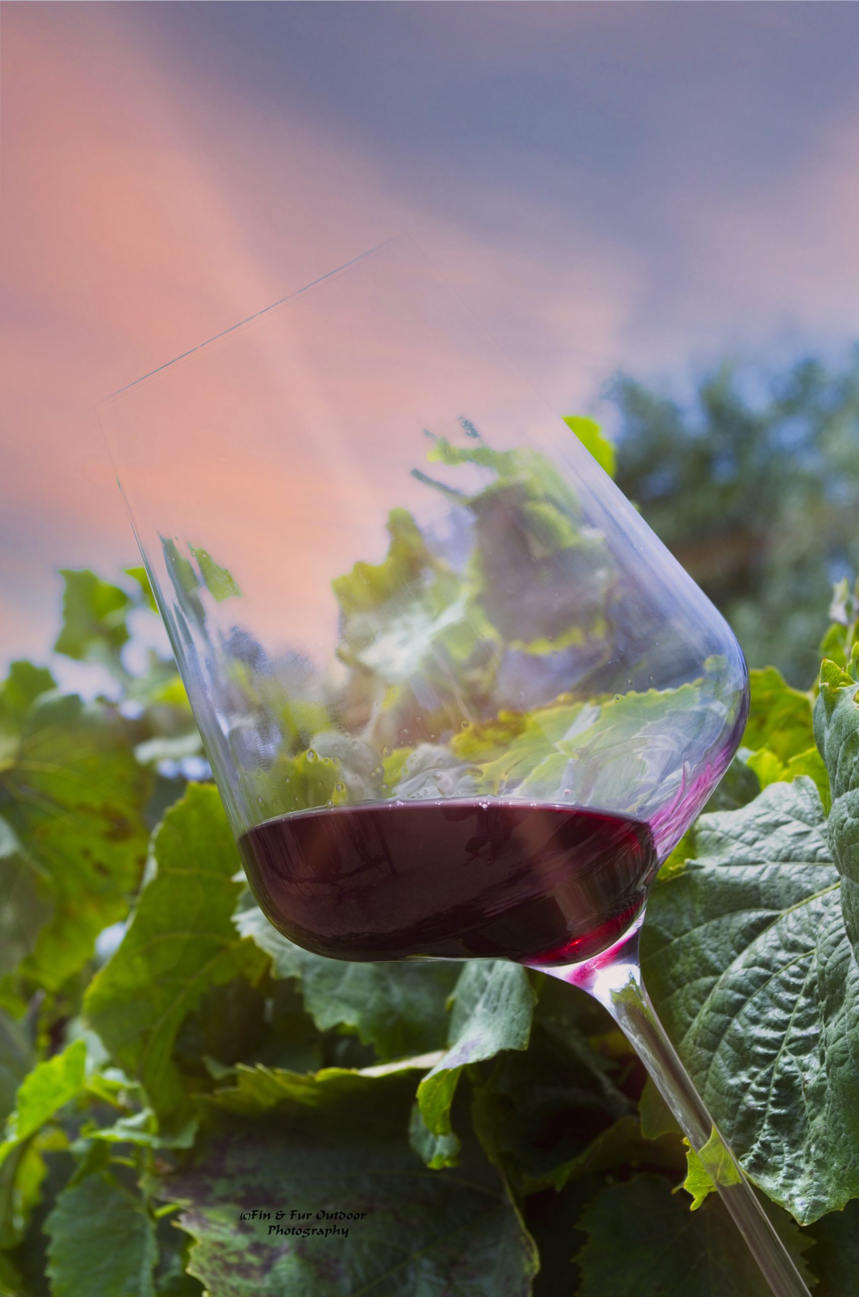 IOWA’S WINERIES & BREWERIES
