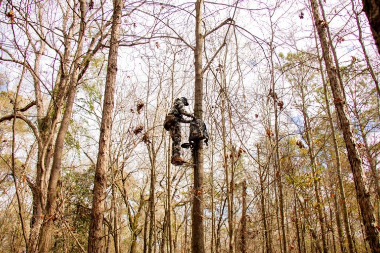 Saddle Hunting For Those Who Say They Never Will 