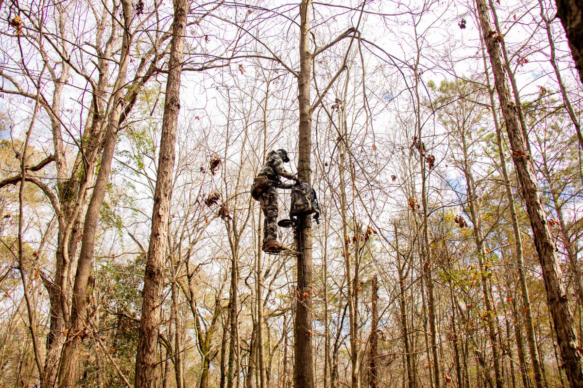 Saddle Hunting For Those Who Say They Never Will
