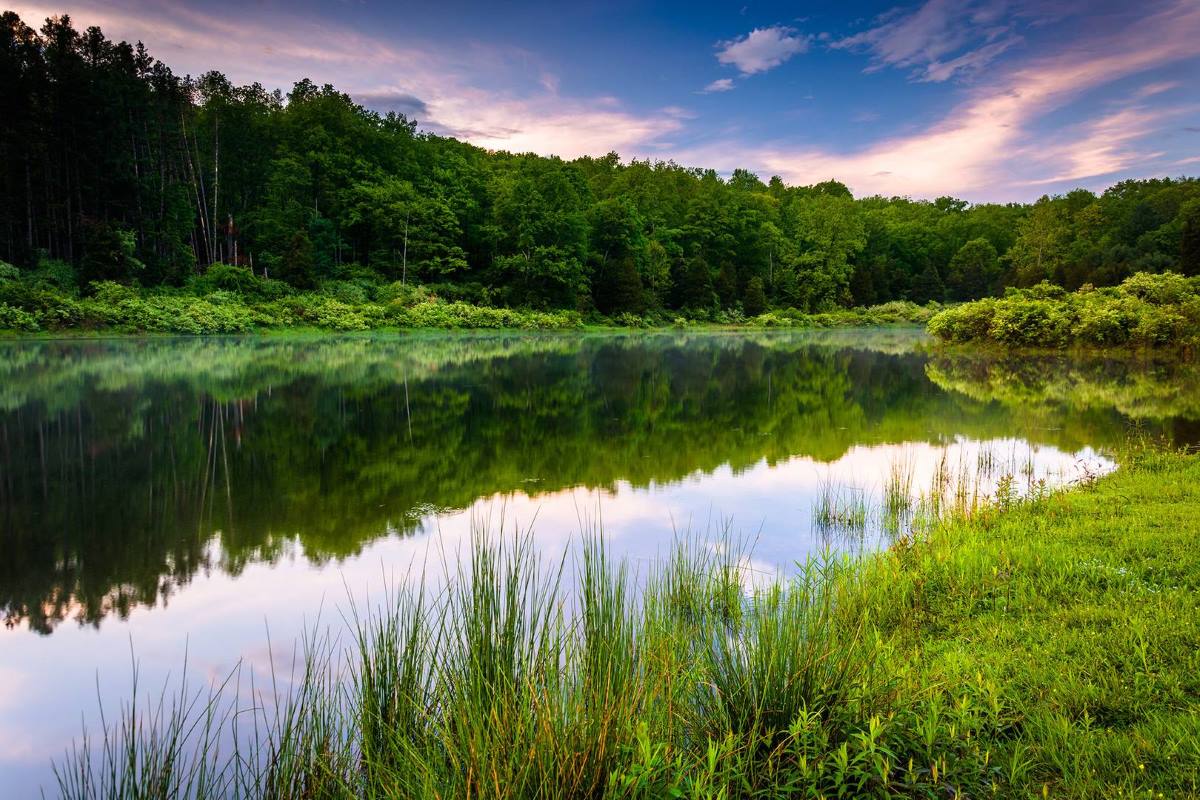 Iowa's Top 5 Multi-Species Lakes