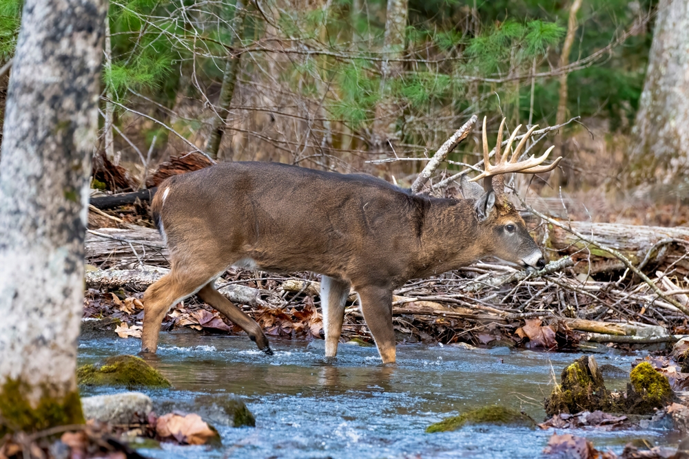 Keeping the Outdoor Legacy Alive