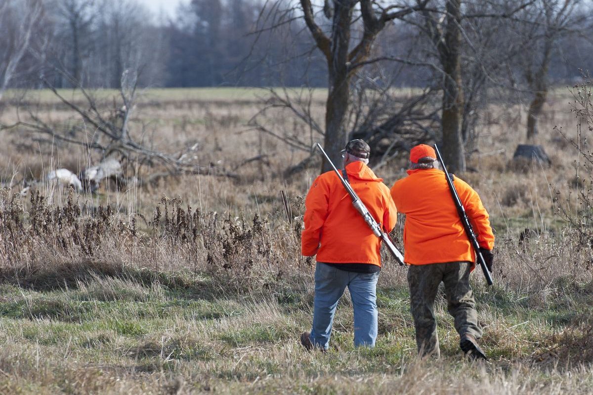 Iowa Public Land Hunting