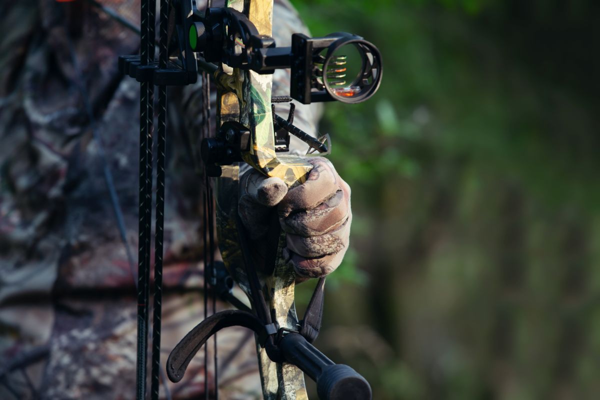 Bowhunting Strategies For November