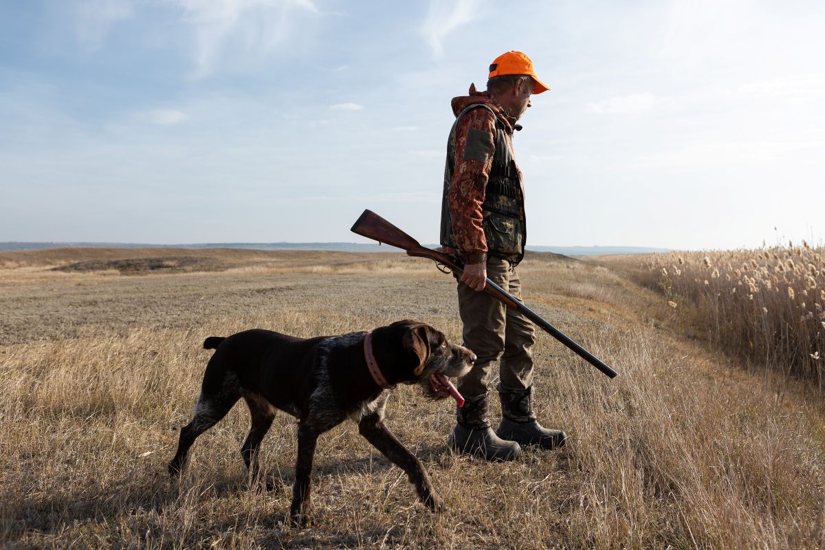 Field Safety For You And Your Dog