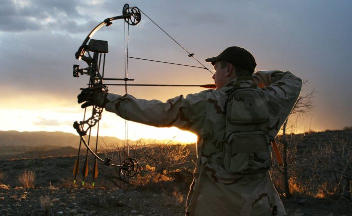 In Season Adjustments: Whitetails 365