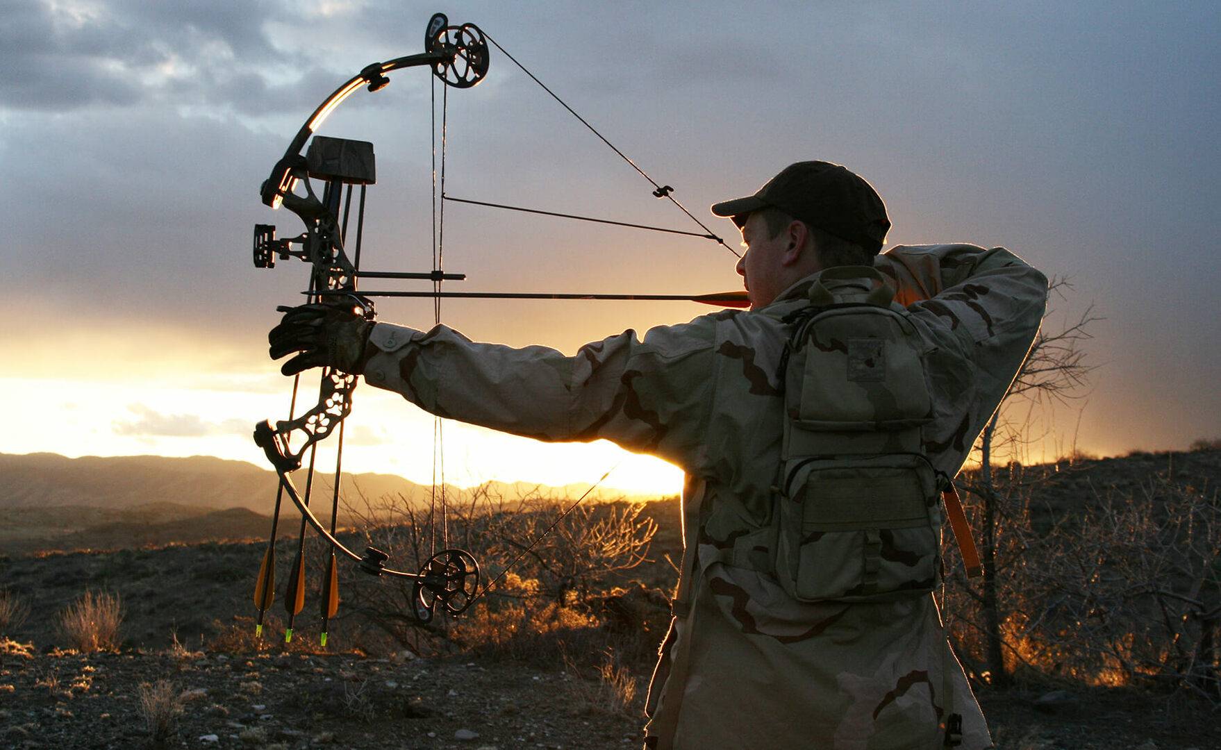 In Season Adjustments: Whitetails 365