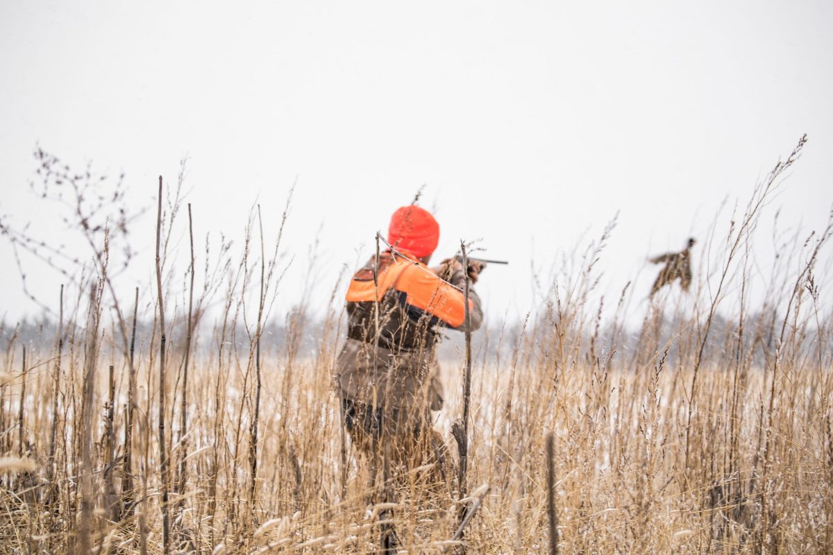 Ringnecks Rise from the Ashes