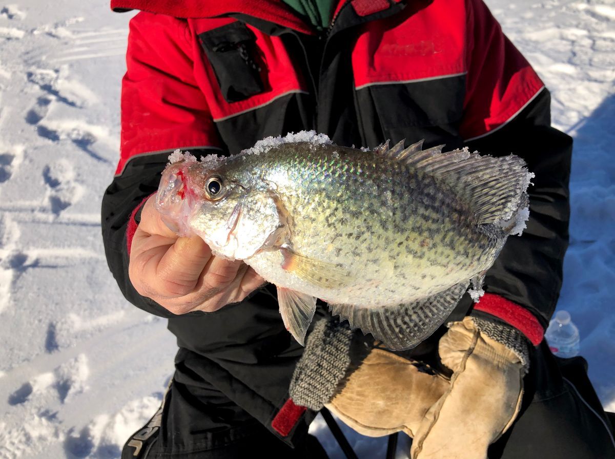 Ice Fishing Rivers