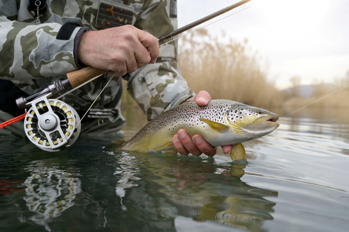 Early Spring Trout Fishing
