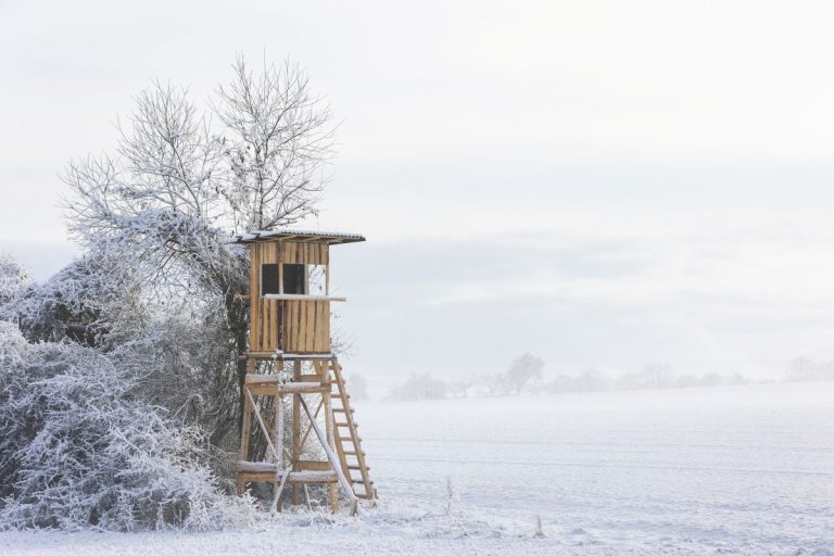 Reflections on Deer Season