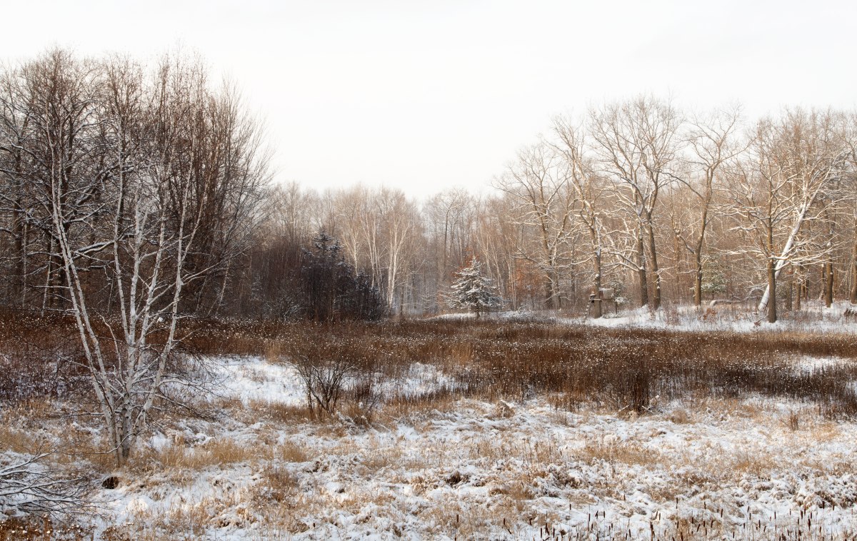 Winter Wonderland in Iowa