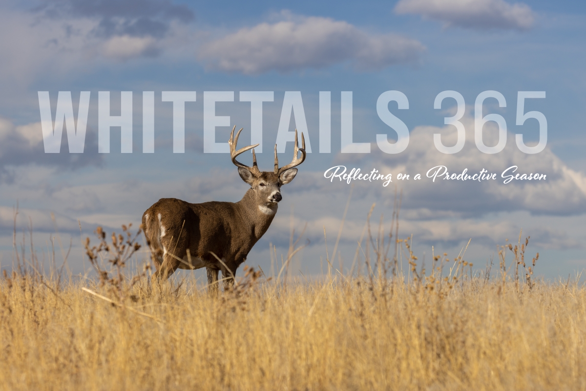 Reflecting on a Productive Season