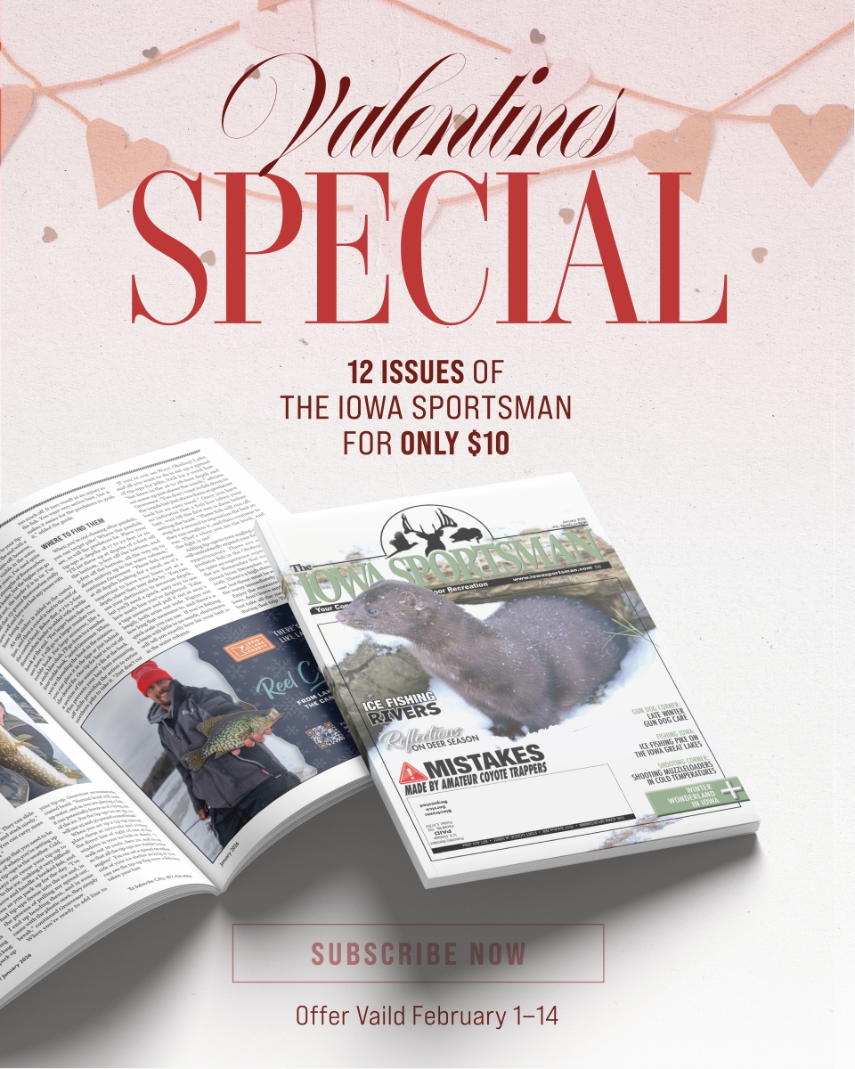 Valentine’s Subscription Special